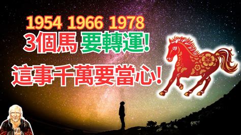 1978年屬馬運勢|【1978 五行】1978生肖屬馬：五行運勢全解析！